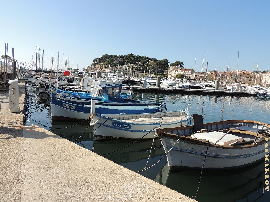 2024 11 02 EN FLANANT SUR SANARY (45).jpg